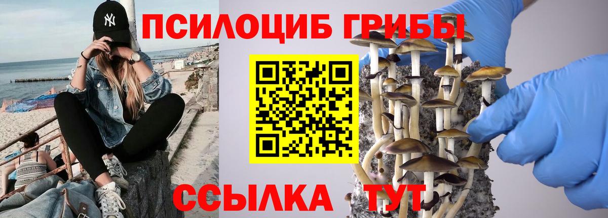 Галлюциногенные грибы MAGIC MUSHROOMS Мурино