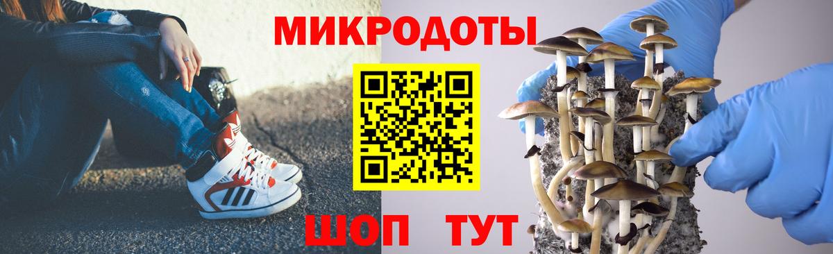 Псилоцибиновые грибы Psilocybe  Вход с VPN  Мурино 